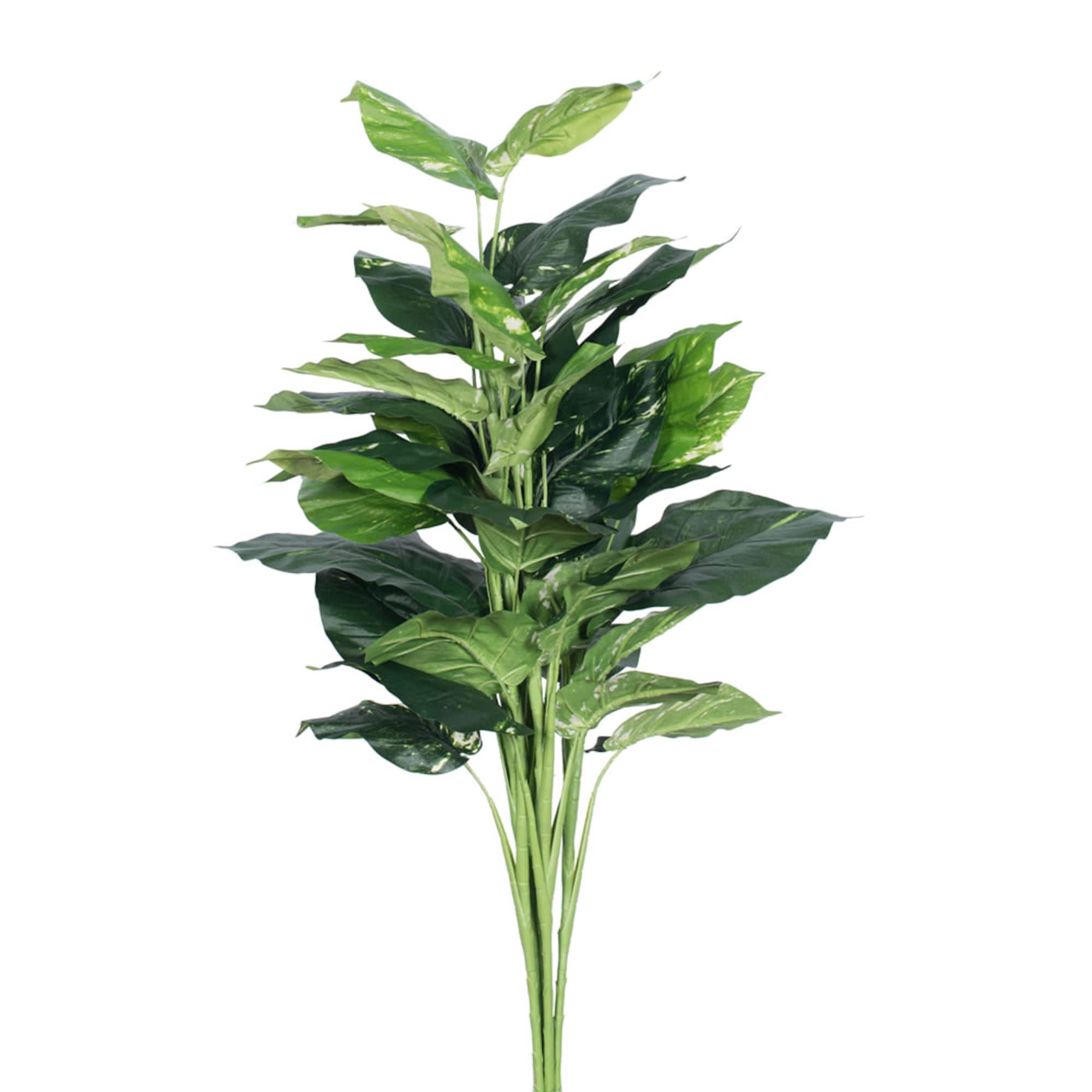 3ft. Green Pothos Plant